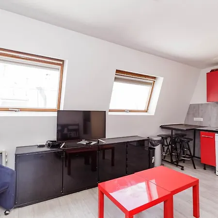 Apartment 45m Near The Louvre Museum *